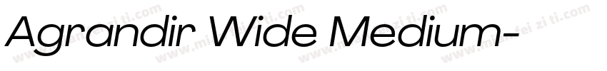 Agrandir Wide Medium字体转换